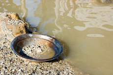 Gold Panning